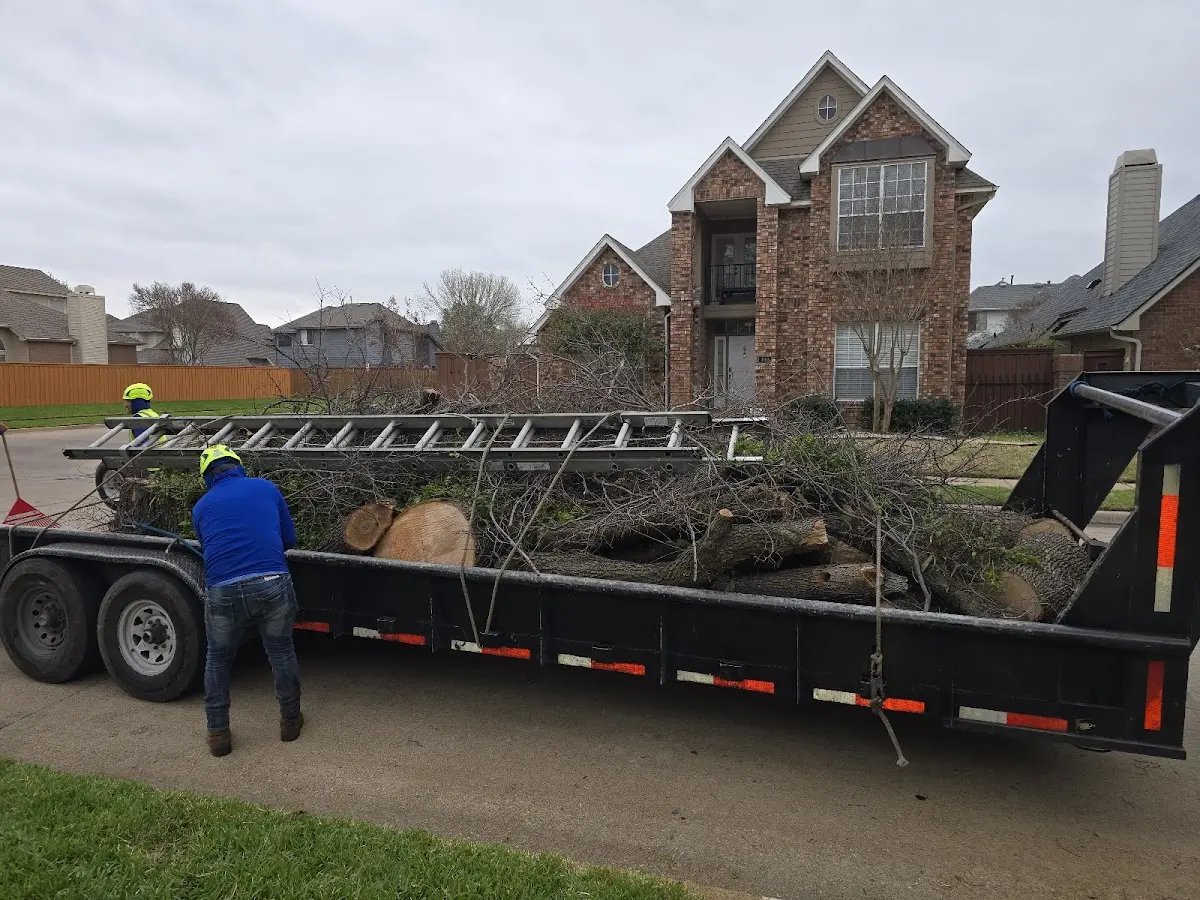 Expert Tree Pest Control with proper safety equipment in Weyanoke